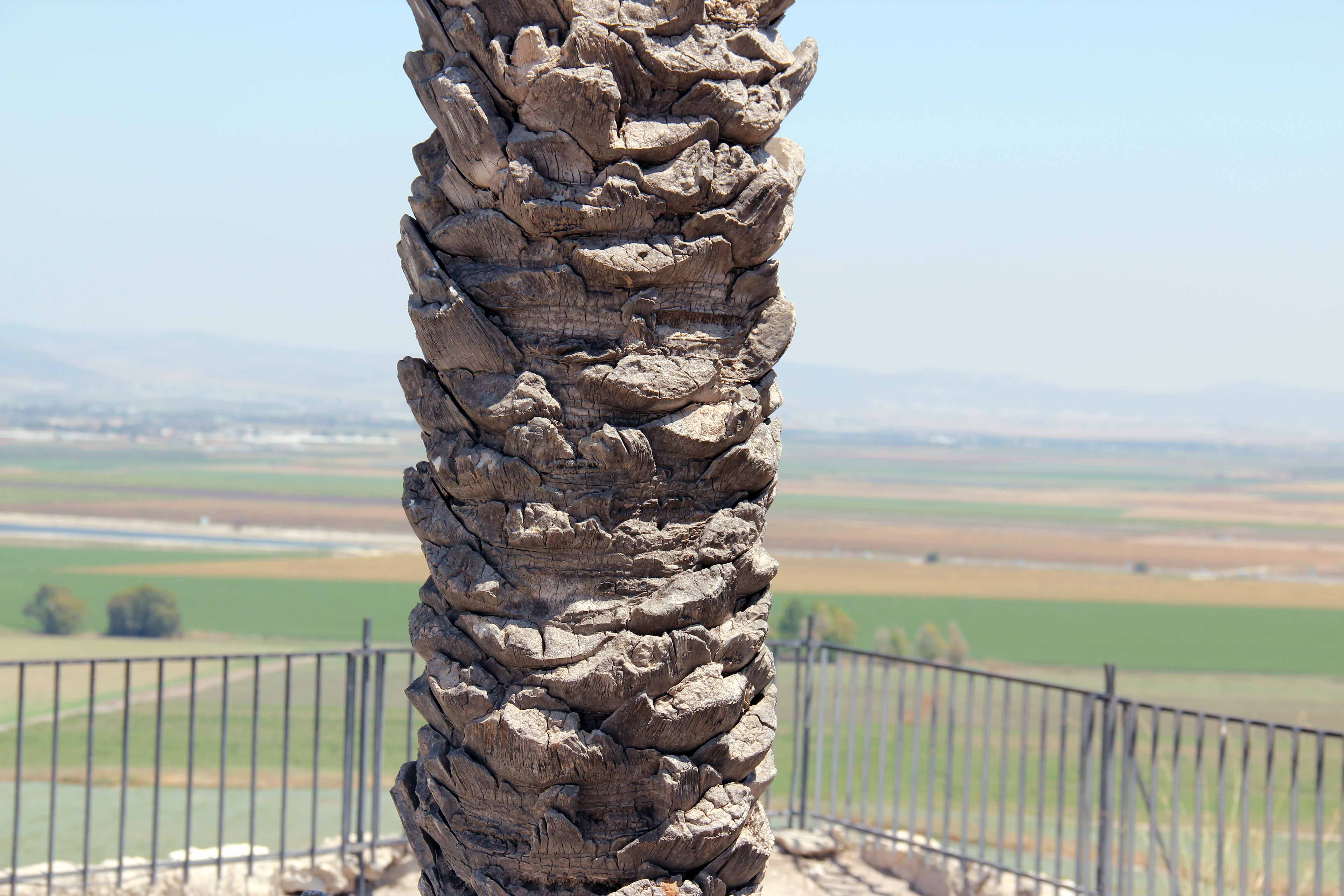 Megiddo image 48